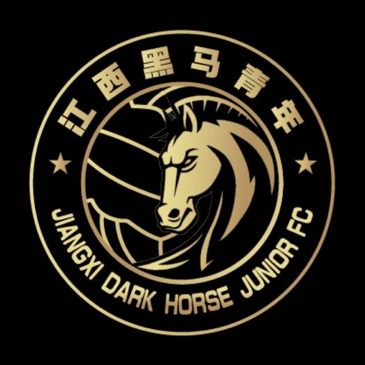  官方：江西黑馬青年完成異地遷移程序，更名為溫州職業(yè)足球俱樂部